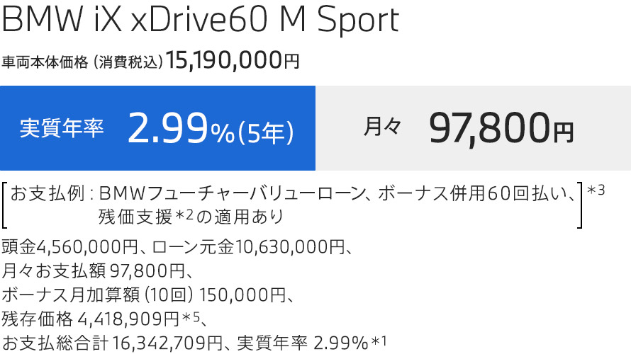 iXm 支払例